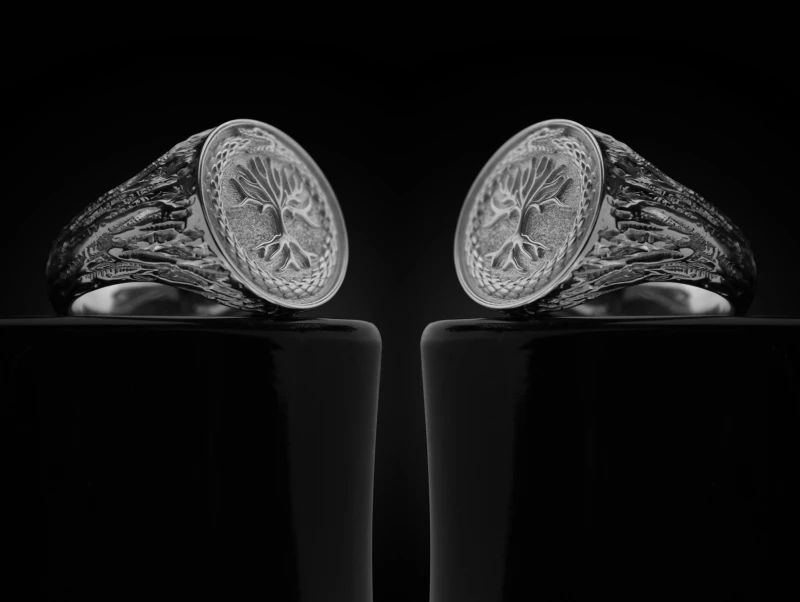yigdrasil_ring_v8.jpg