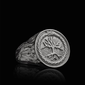 yigdrasil_ring_v2.jpg