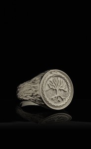yigdrasil_ring_v3.jpg