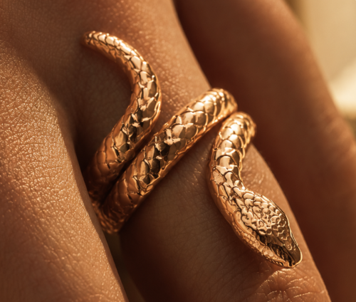 Jormungand ring | TYVODAR
