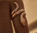Jormungand ring | TYVODAR