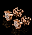  Gold Diamond-Studded Earrings | TYVODAR