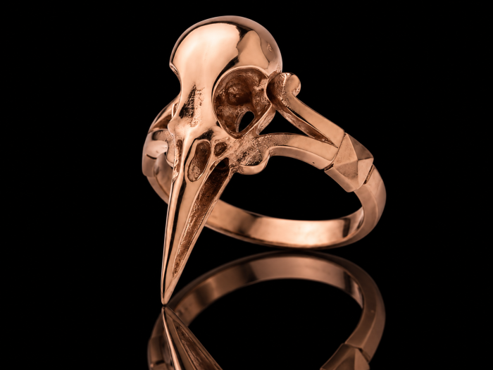 Crow skull ring | GOLD 14k | TYVODAR