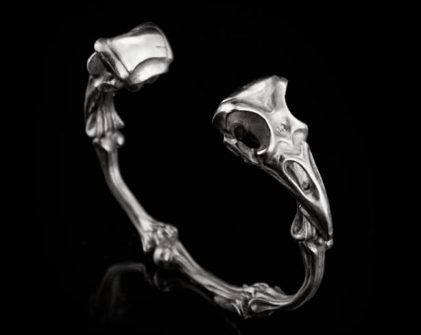 bird_skull.jpg