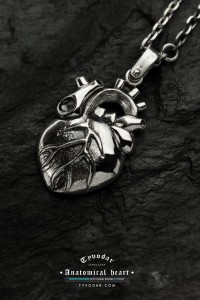 anatomical_heart_02.jpg