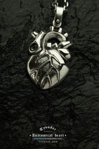 anatomical_heart.jpg