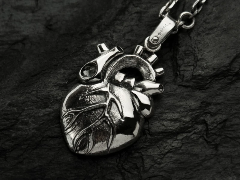 anatomical_heart_06.jpg