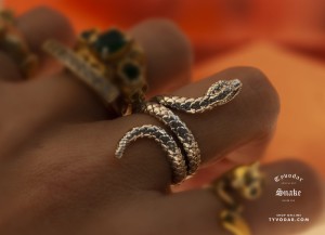 nake_ring_v1.jpg