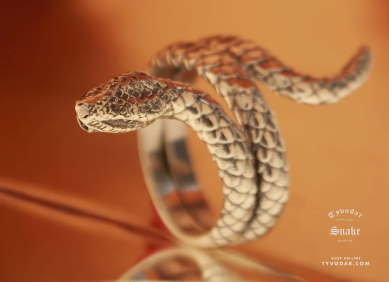 nake_ring_v4.jpg