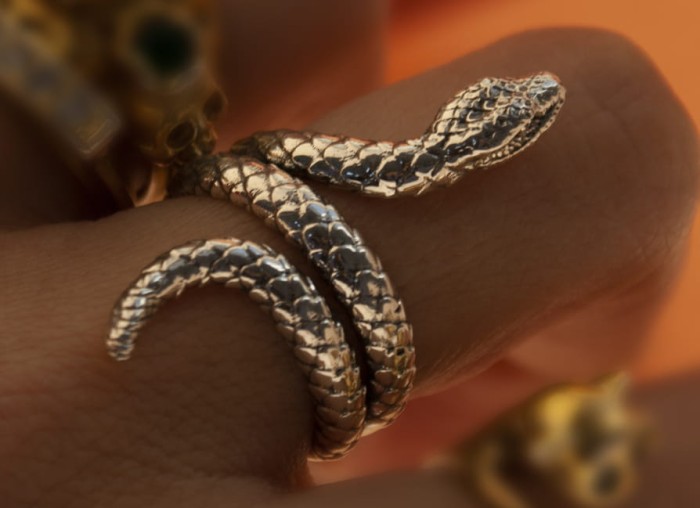 snake_ring_v7.jpg