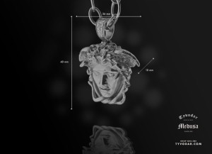 medusa_v7.jpg